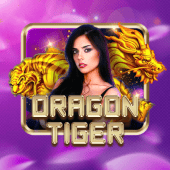 234win 222 Dragon Tiger