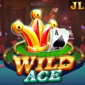 234win 222 Wild Ace